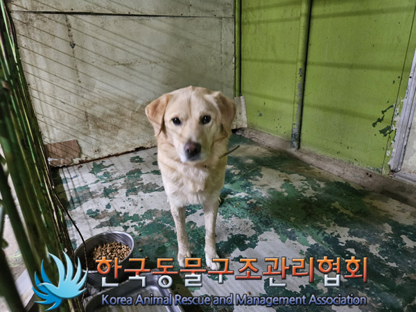 한국동물구조관리협회_441406202402025